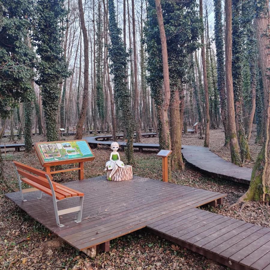Orchidea Wellness Apartman Zalakaros Zewnętrze zdjęcie